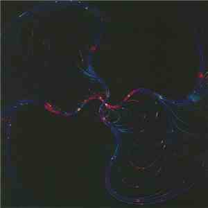 The Orb - No Sounds Are Out Of Bounds