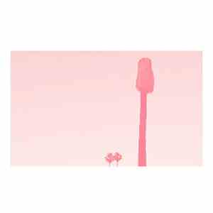 Pinkcourtesyphone - A Ravishment Of Mirror
