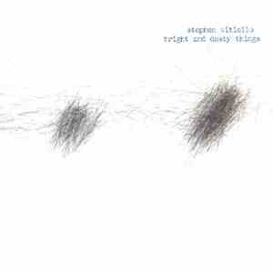 Stephen Vitiello - Bright And Dusty Things