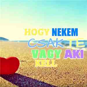 C2SH - Te Vagy Aki Kell