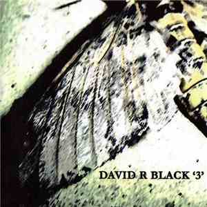 David R Black - '3'