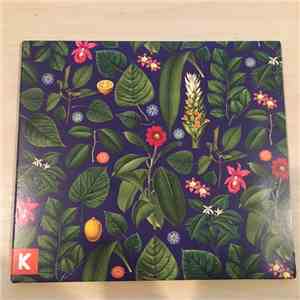 Kings Kaleidoscope - Becoming Who We Are