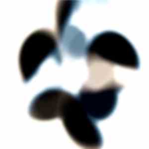 Leo Cavallo - Thoracic Three