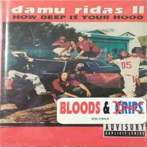 Damu Ridas - Damu Ridas II How Deep Is Your Hood