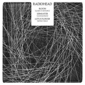 Radiohead - Bloom (Jamie XX Rework) / Separator (Anstam RMX) / Lotus Flower ...