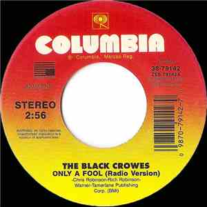 The Black Crowes - Only A Fool