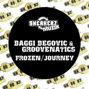 Baggi Begovic & Groovenatics - Frozen / Journey