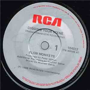 Blow Monkeys - Digging Your Scene