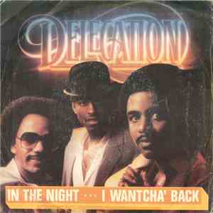Delegation - In The Night / I Wantcha' Back