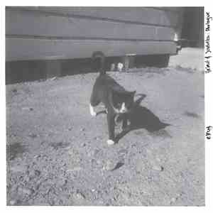 Elroy  - Helmut & Jovanka: Prologue