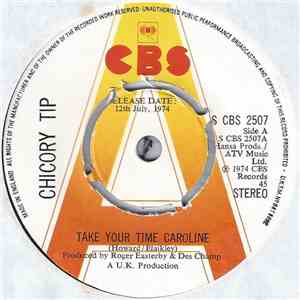 Chicory Tip - Take Your Time Caroline