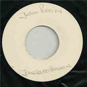 Júlio Pereira - Janela Do Bosque
