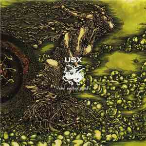USX - The Valley Path