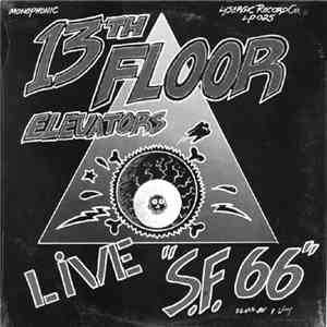13th Floor Elevators - Live