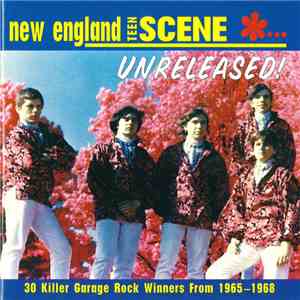 Various - New England Teen Scene... Unreleased!
