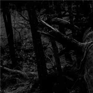 Zachary Reid - My Return To The Ground Will Be Lonely