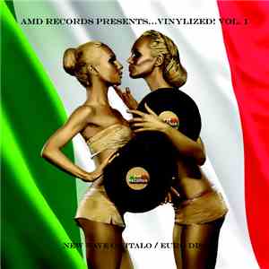 Various - AMD Records PRESENTS...VINYLIZED! VOL 1