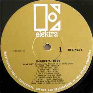 Dave Ray - Snaker's Here