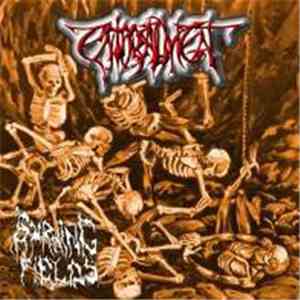 Enthrallment - Burning Fields