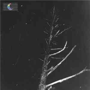 Peter Broderick - (Colours Of The Night) Satellite