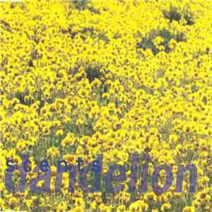 Scents - Dandelion EP