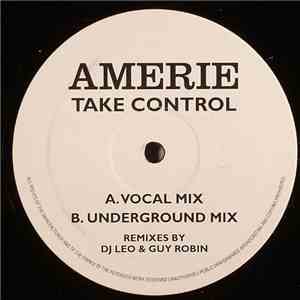 Amerie - Take Control (DJ Leo & Guy Robin Remixes)
