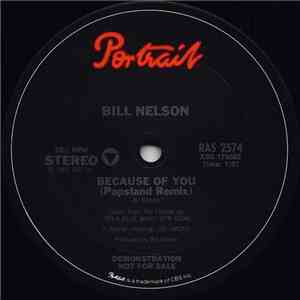 Bill Nelson - Because Of You