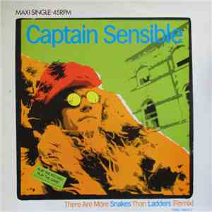 Captain Sensible - There Are More Snakes Than Ladders (Remix)