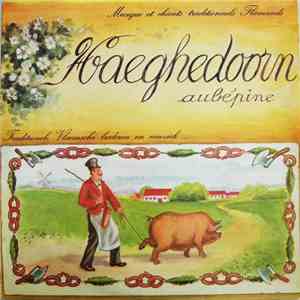 Haeghedoorn - Aubépine - Traditionele Vlaemsche Brederen En Musiek (Musique Et Chants Traditionnels Flamands)
