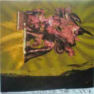 Steve Gunn / Shawn David mcMillen - End Of The City