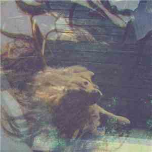 Evan Abeele - Lineage