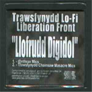 Trawsfynydd Lo-Fi Liberation Front -