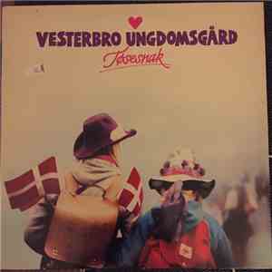 Vesterbro Ungdomsgård - Tøsesnak