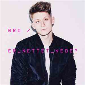 Bro  - Er Nettet Nede?