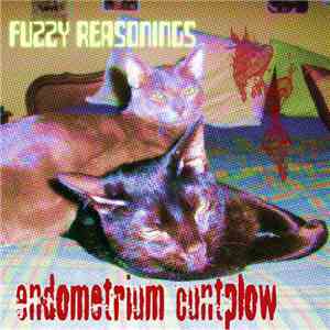 Endometrium Cuntplow - Fuzzy Reasonings