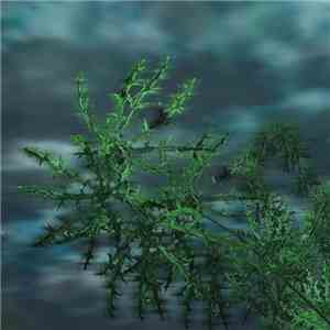 Seetyca - Seetycan (Grue & Bleen)