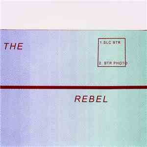 The Rebel  / Bomber Jackets - Split 7