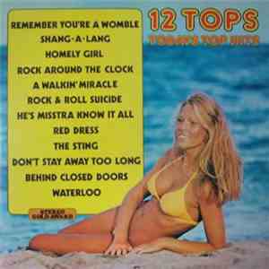 Unknown Artist - 12 Tops - Volume 20