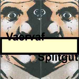 Vaervaf - Splitgut