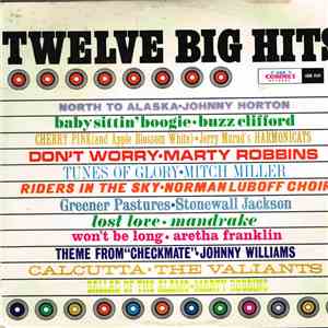 Various - Twelve Big Hits!
