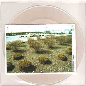 B. Fleischmann / EVax - Le Désir / Water To Our Ankles