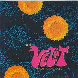 The Veldt - Marigolds