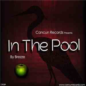 Brezze - In The Pool