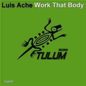 DJ Luis Ache - Work That Body