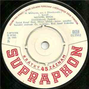 Karel Gott / Karel Hála - Nechtěl Bych / Hádej, Matyldo