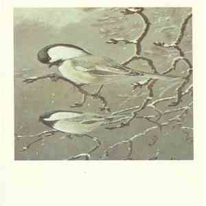 No Artist - Black-Capped Chickadee