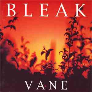 Bleak - Vane