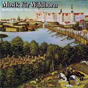 Beethoven, Haydn, Mozart, Stich - Musik Für Waldhorn