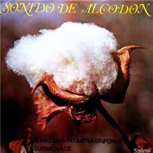 José Solá Y Su Sonido De Algodón - Sonido De Algodón