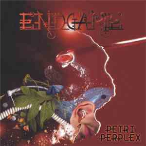 Endgame - Petri Perplex